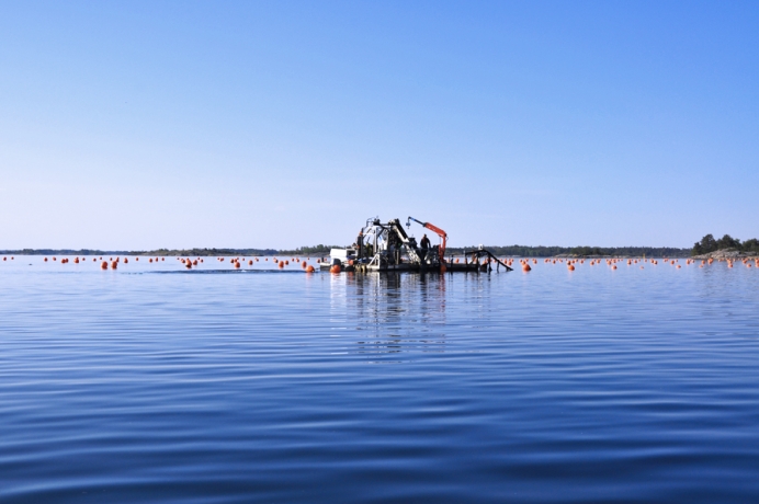 Farming blue mussels to combat eutrophication and contribute to Blue Growth opportunities